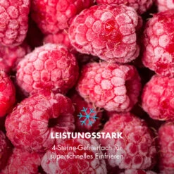 Garfield Eco Mini-Gefrierschrank 4-Sterne 34 Liter Kompakt -Angebote Küchenmaschinen Store 10032853 de 0006 logo