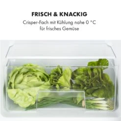 Big Daddy Cool Kühl-Gefrierkombination 61/25 Liter 2 Ebenen Edelstahl -Angebote Küchenmaschinen Store 10034005 de 0005 logo