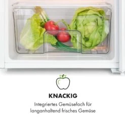 Spitzbergen Uni Kühlschrank 91 Liter 10-Liter-Gefrierfach 2 Böden -Angebote Küchenmaschinen Store 10035192 de 0006 logo